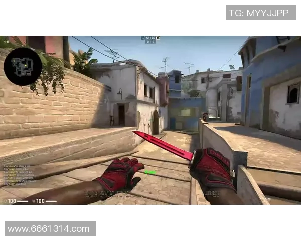 CSGO战术分析：深入探讨V5战队的区域防守策略与执行细节