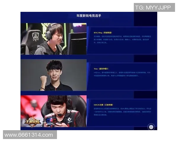 深入探讨王者荣耀RNG战队的团队配合与战术策略分析